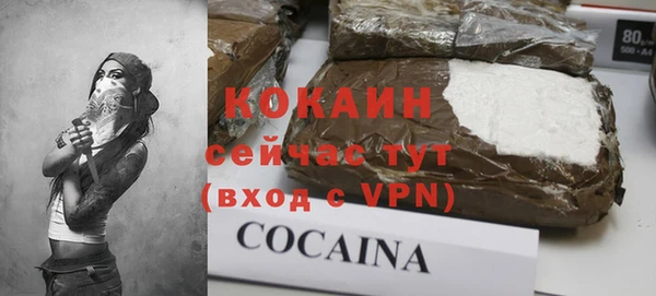трава Корсаков
