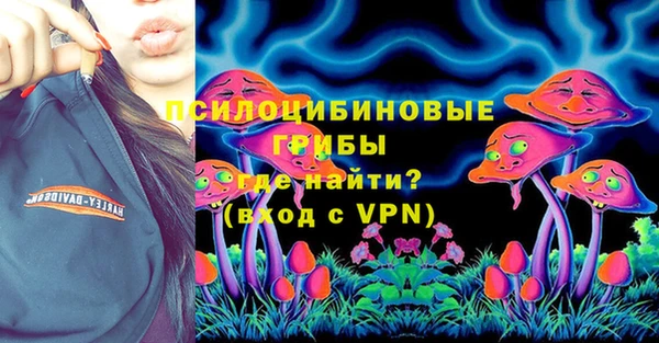 винт Коряжма