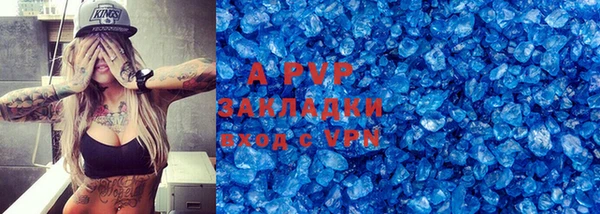 трава Корсаков