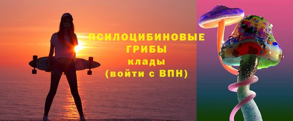 трава Корсаков