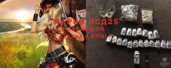трава Корсаков
