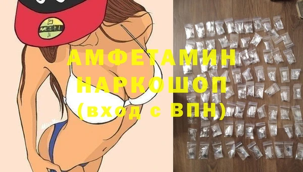 трава Корсаков