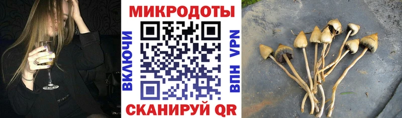 Галлюциногенные грибы мицелий  Ставрополь 